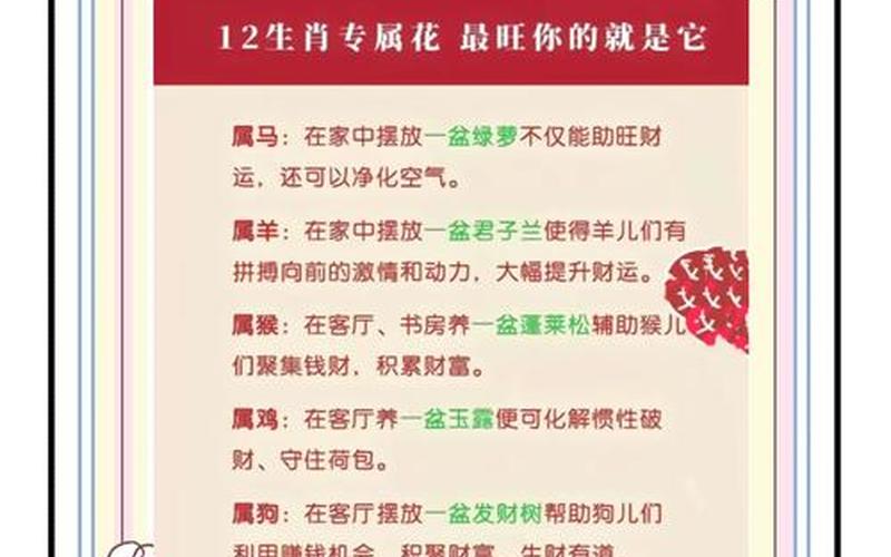 各种属相对应的花 各种属相对应的花