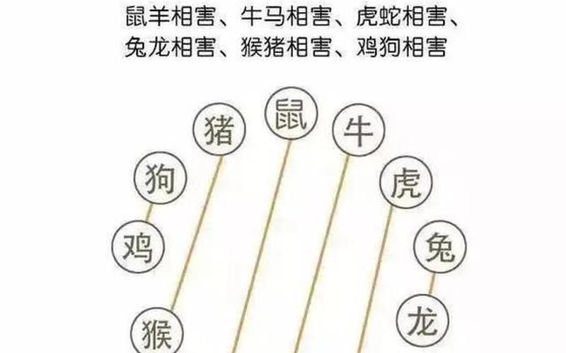 属相影响财富吗