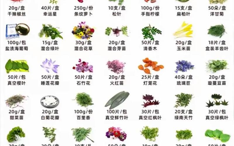 植物花草风水风流花名摆位