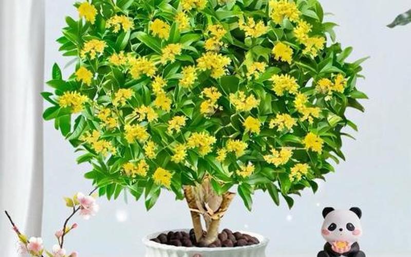 风水植物禁忌 风水植物禁忌
