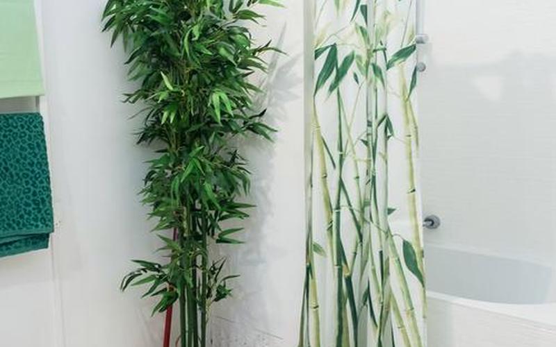 玄关放水培植物风水