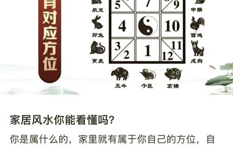 生肖布局方位怎么看 生肖布局方位怎么看