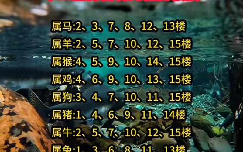 属相适合住几楼层数