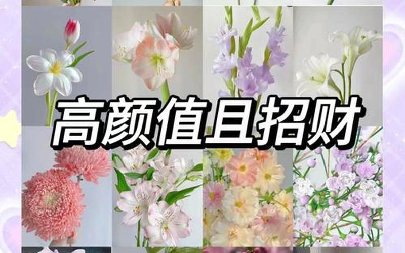 每个属相风水花卉有哪些品种