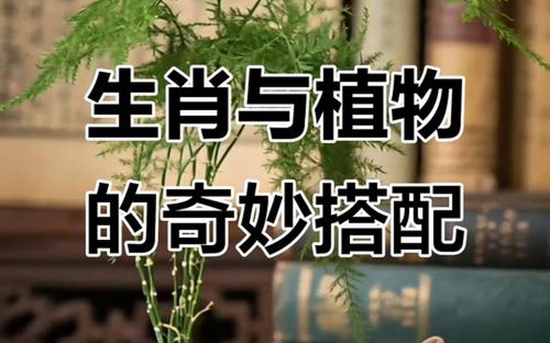 属相和植物怎么相配