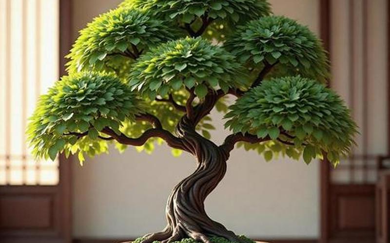 风水学植物篇 风水学植物篇